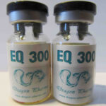 Buy EQ 300